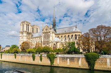 Parijs Notre Dame van davis davis