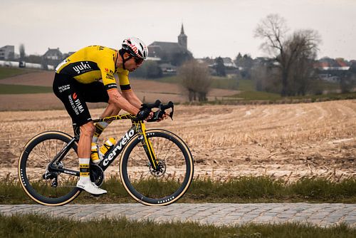 Wout van Aert klassiekers 2025