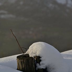 Omarmd..... van Lies Nierop Fotografie