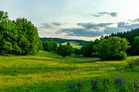 Zomerontdekkingstocht door het Thüringer Woud bij Steinbach-Hallenberg - Thüringen