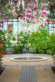 The Royal Greenhouses by marijke servaes