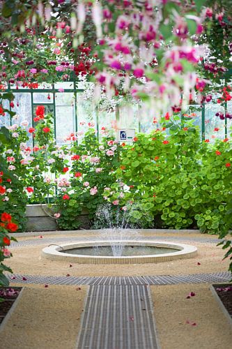 De Koninklijke Serres