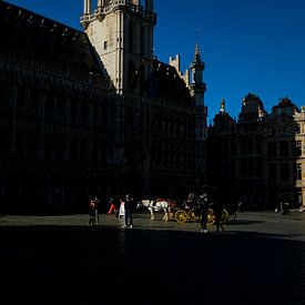 Grote markt Brussel van Sander de Wilde foto/grafiek
