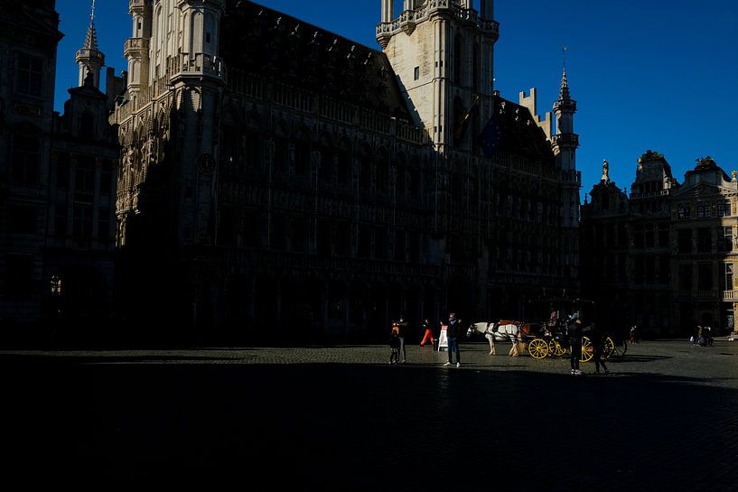Grand marché de Bruxelles par Sander de Wilde foto/grafiek