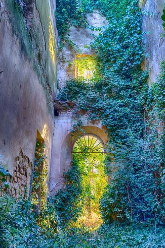 Nature striking back (urbex)