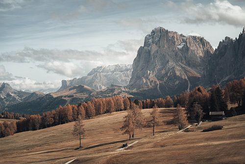 Gouden herfstuitzicht op de Seiser Alm - Dolomietenmagie onder de Langkofel