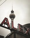 Berlijn Alexanderplatz van Robin Berndt thumbnail
