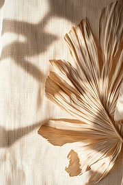 Dried palm leaves in the warm sunlight – boho aesthetic by Dave Schloffi