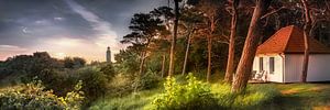Phare et maison en bois dans la forêt sur l'île de Hiddensee