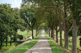 Oudendijk by Richard Wareham