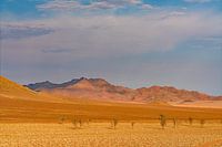 Landscape in Namibia's pristine countryside