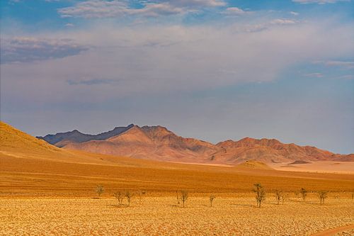 Landschap in ongerepte natuur van Namibië