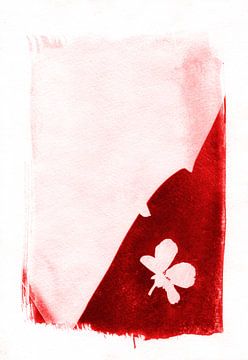 Fleur rouge solitaire sur Lies Praet