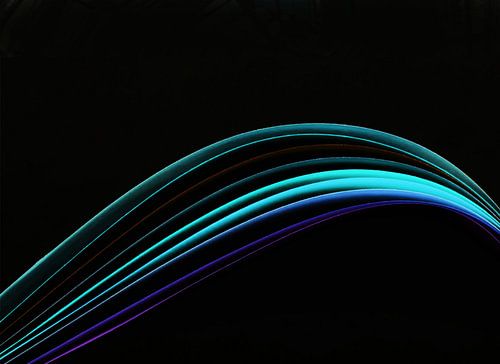 The book of your life