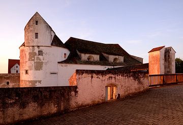Kasteel Wildenstein, Donau van Nick Wendt