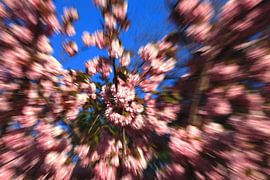 Les couleurs du printemps