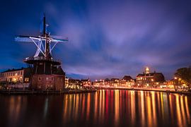 Moulin à vent d'Adriana sur Steffon Reid