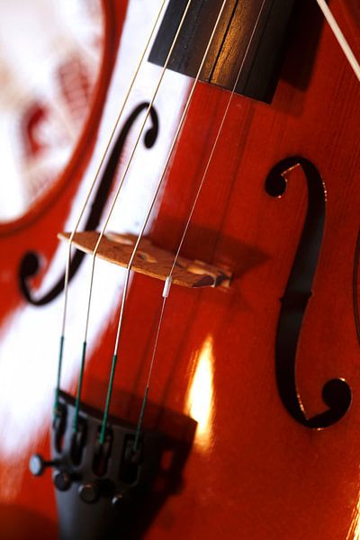 Violin by Thomas Jäger