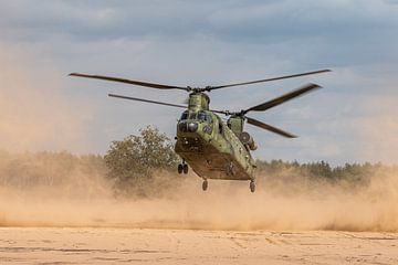Landing van CH-47 Chinook van de Koninklijke Luchtmacht op GLV V bij Oirschot. van Jaap van den Berg