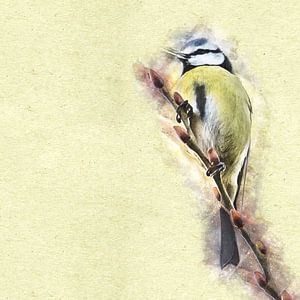 La Mésange bleue (art)