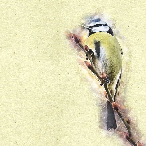De pimpelmees (kunst)