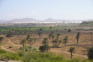 Boa Vista woestijn van Ferdie de Jonge