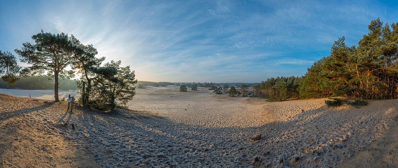 Panorama sand drift Hulshorsterzand by Jenco van Zalk