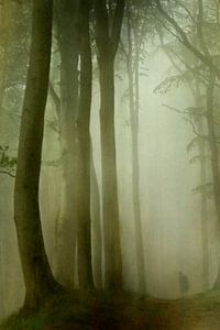Mensch im Wald von Heike Hultsch