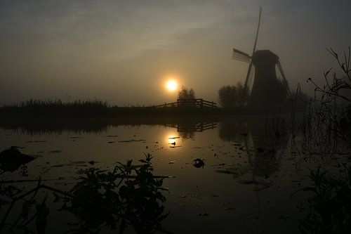 Ochtend bij de molen