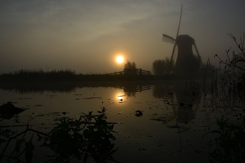 Morning at the windmill par Maurice Kruk