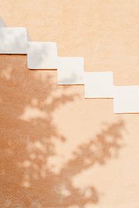 Image abstraite d'un mur d'abricots arabes