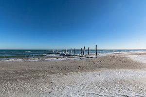 Des épis couverts de glace - L'hiver à Juliusruh sur l'île de Rügen