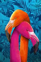 Flamingos