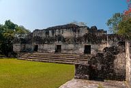 Guatemala: Tikal (Yax Mutal) van Maarten Verhees thumbnail