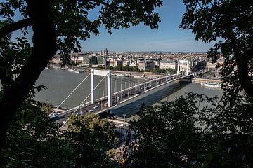 uitzicht op elisabeth brug in Boedapest vanaf de Gellert heuvel