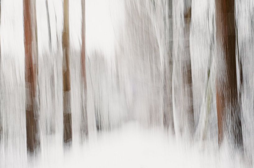 Snow in the forest as impressionistic artwork by Imaginative