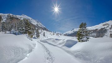 Wandelaars spoor in het zwaar besneeuwde Roseg dal, Pontresina, Oberengadin, Zwitserland van Rene van der Meer