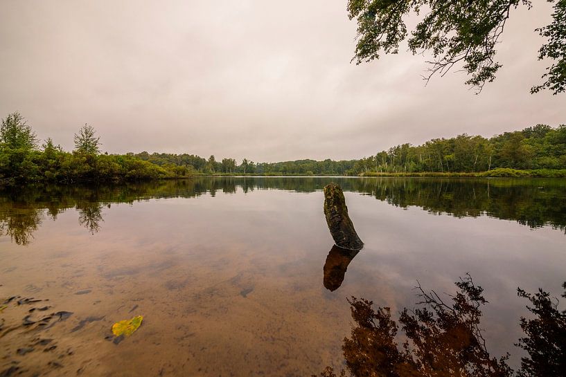 Peace and quiet at Siepelveen by Meint Brookman