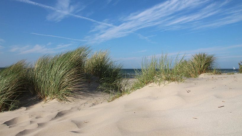 Paysage de dunes par Ostsee Bilder