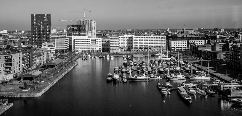 Antwerpen vanaf het Museum aan de Stroom par Ronald De Neve