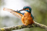 Ochtendritueel