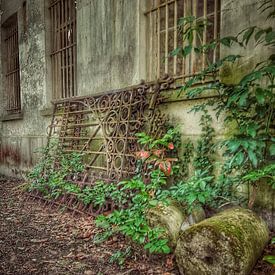 Urbex kasteel sur Creativiato Shop