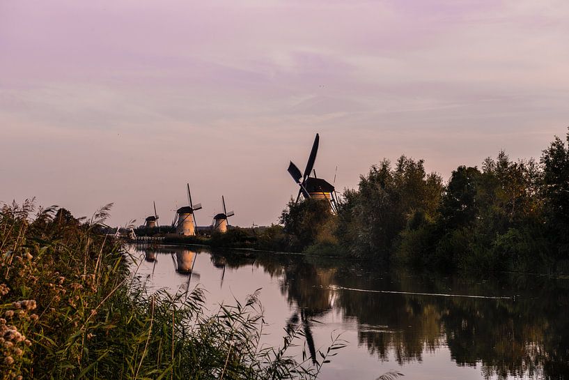 Les moulins de Kinderdijk dans la lumière du soir par Brian Morgan