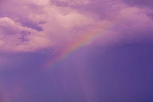 Alle Farben des Regenbogens