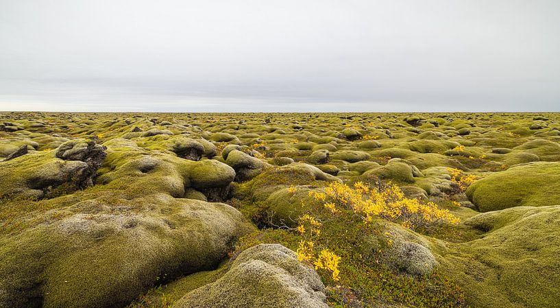 Bemoste lavavelden (IJsland) van Marcel Kerdijk