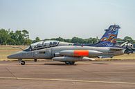 Aeronautica Militare Aermacchi MB-339 CD. by Jaap van den Berg thumbnail