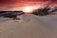 Zonsondergang in duinen van het Westduinpark van Rob Kints thumbnail