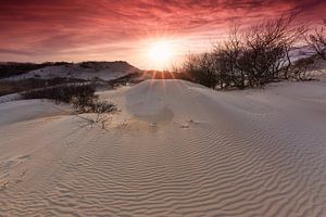 Sunset over Sand Dunes von Rob Kints