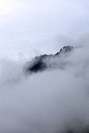 Märchenhafter Wald von Thomas Jäger