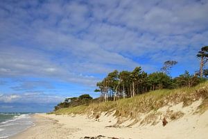 Sur la plage ouest de Prerow sur Ostsee Bilder